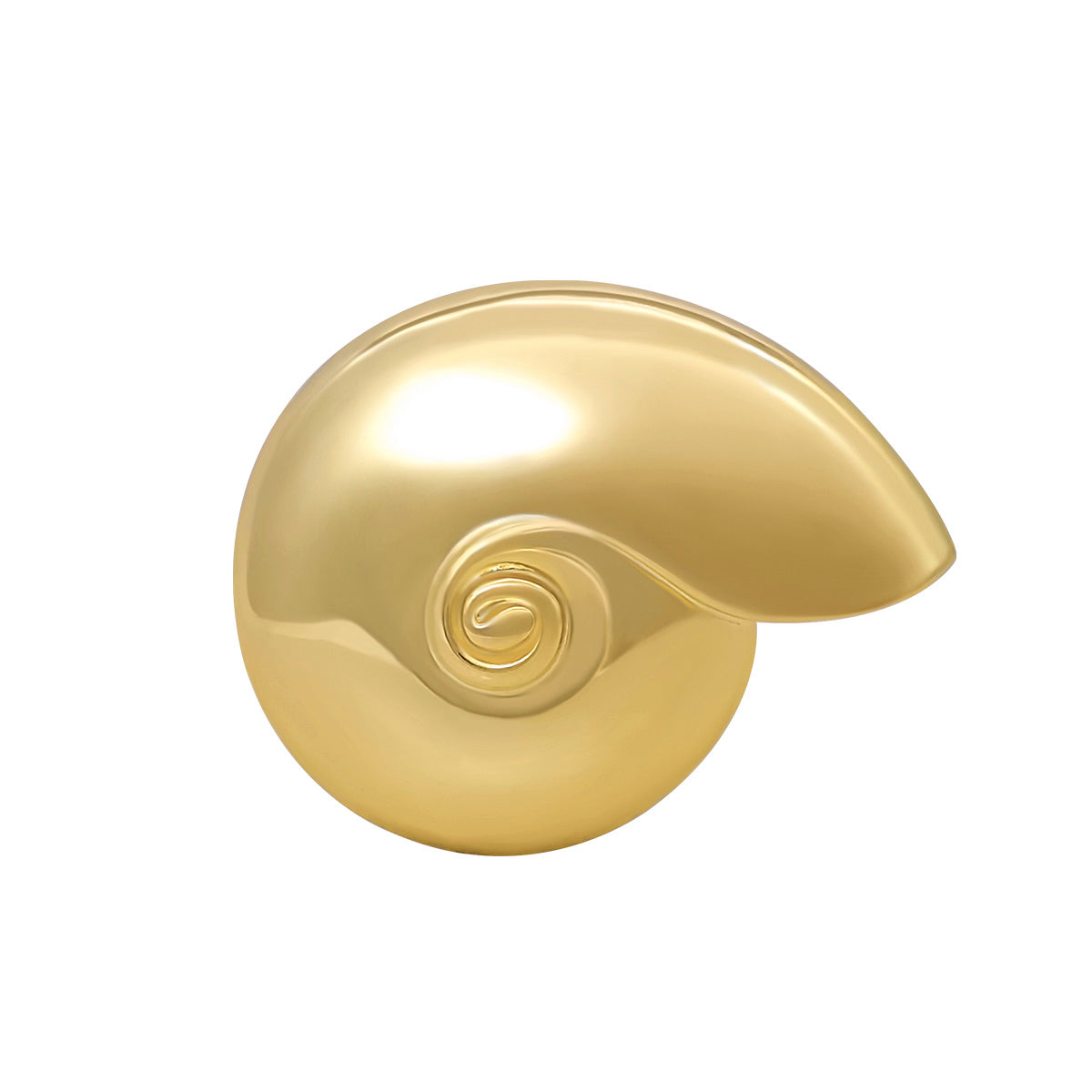Shell Brooch | Gold